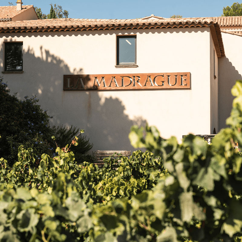 Une chasse aux bonbons dans les vignes 🎃